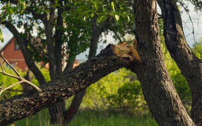 Burze, gradobicia, huragany. Na co zwrócić uwagę w tzw. procesie likwidacji szkód?